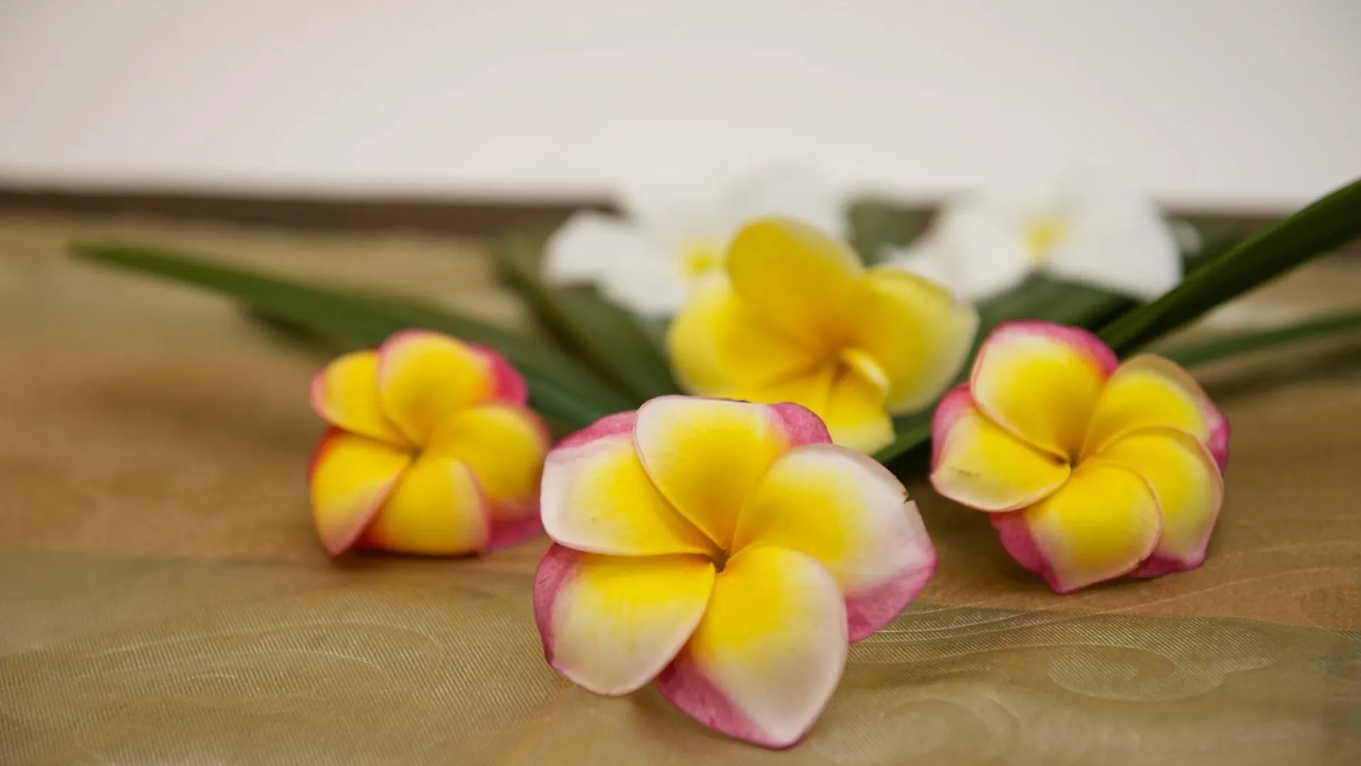Anantara Vacation Club Legian Aparthotel  Legian (Bali)